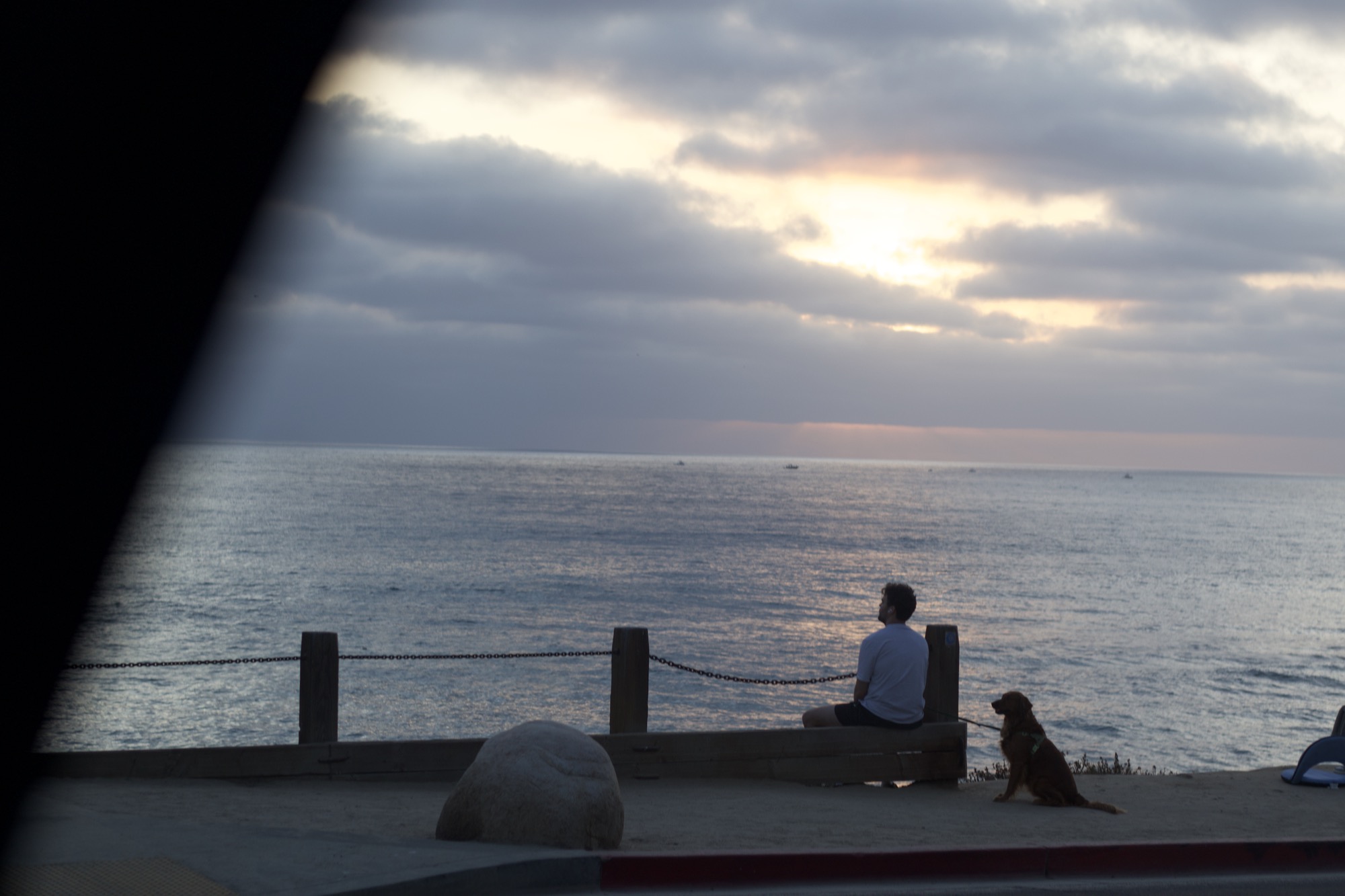 Person watching the ocean at sunset with their dog